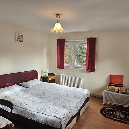 Apartament Retro-Relax سِنايا المظهر الخارجي الصورة