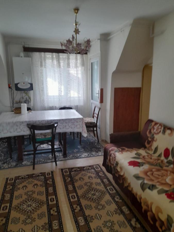 Apartament Retro-Relax سِنايا المظهر الخارجي الصورة
